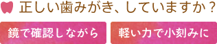 正しい歯みがき、していますか? 鏡で確認しながら 軽い力で小刻みに